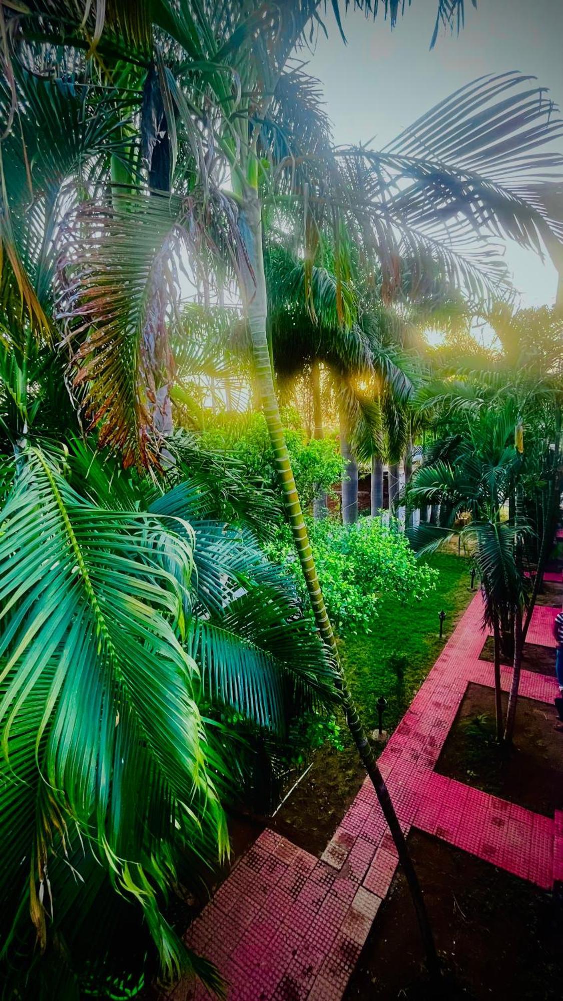 Hotel Jungle Palace Resort Umariā Exteriér fotografie
