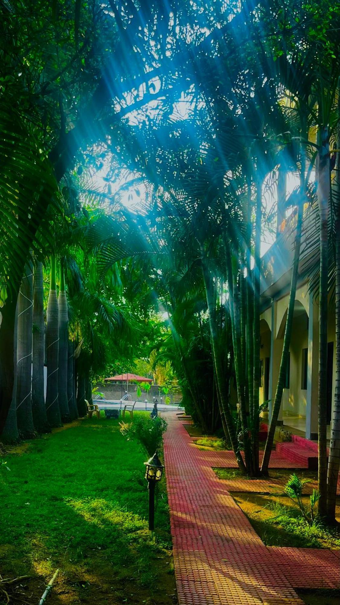 Hotel Jungle Palace Resort Umariā Exteriér fotografie